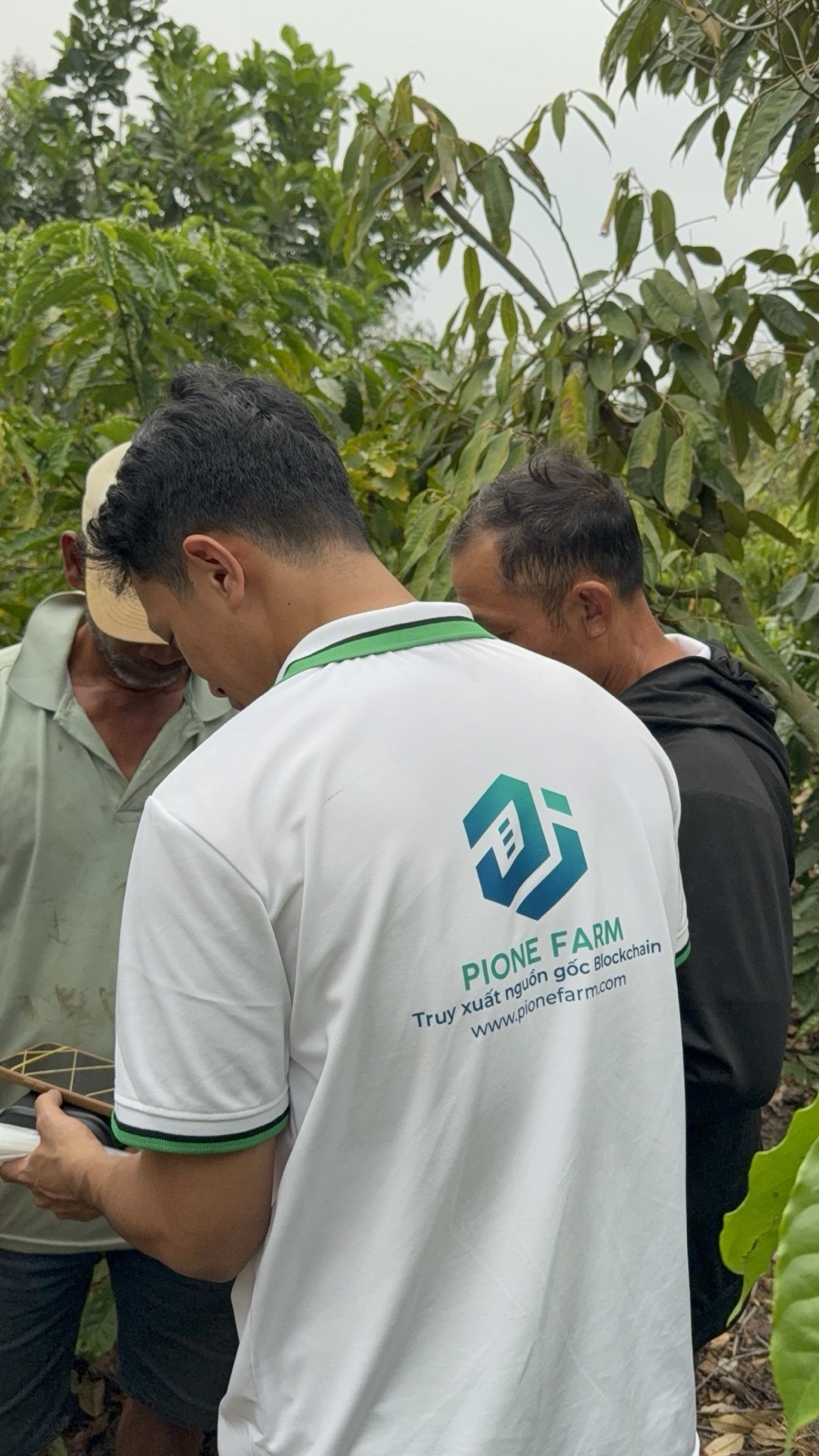 Pione Farm Mission Context
